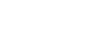 Altes Haus 1589